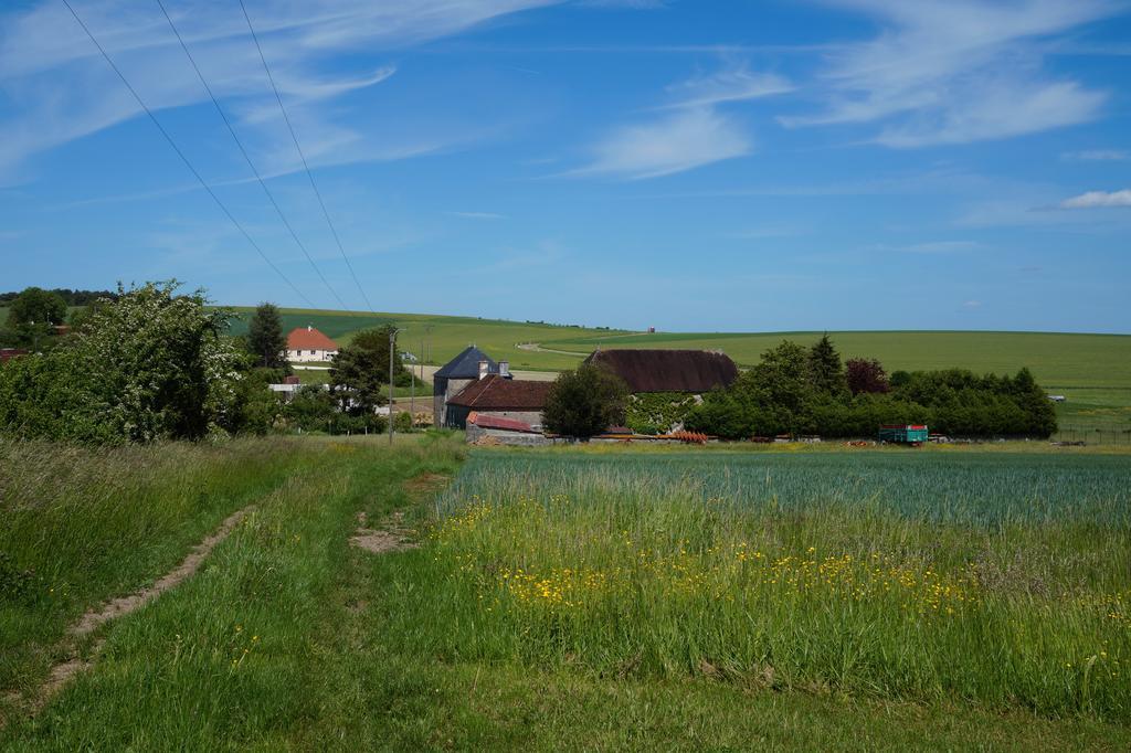 La Grille Fleurie, Chambres D'Hote Chez L'Habitant Arthonnay Exteriör bild